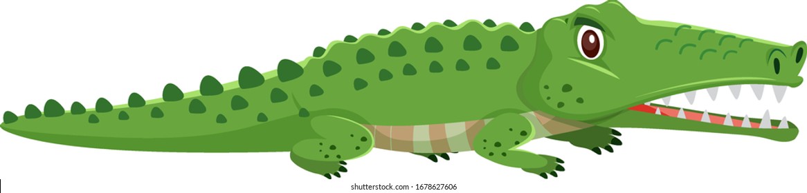 Wild crocodile on white background illustration