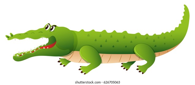 Wild crocodile on white background illustration