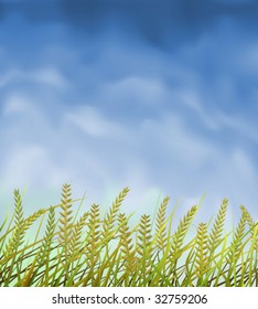 Wild crops field under blue sky