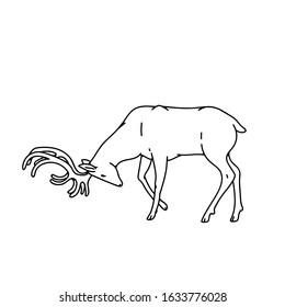 Wild dark deer male buck with branched horns attack butt view profile vector outline black white sketch illustration.