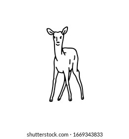 Wild deer baby fawn vector outline black white sketch illustration.