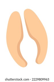Wild deer footprint flat icon Wildlife steps