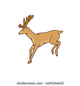 Wild deer male buck with horns jumped view profile vector outline sketch illustration isolated on white background.