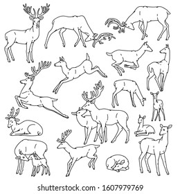 Wild deer males and females with babies jump, sleep and in other poses. Herd vector set outline black white sketch illustration.