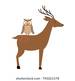 wild deer with owl