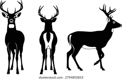 Wild deer silhouette collection with elegant antlers front side back views