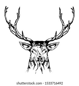 Vector Vintage Deer Head Engraving Style Stock Vector (Royalty Free ...