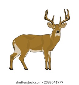 Wild Deer Vector Illustration EPS