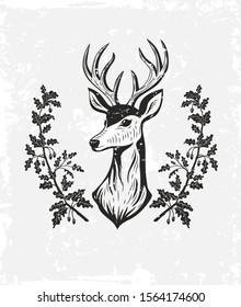 
Wild deer in a wreath of oak leaves. Hand drawn vintage hunting emblem. Vector illustration.