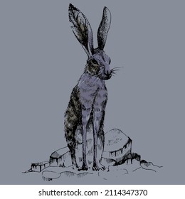 wild desert realistic rabbit isolated 