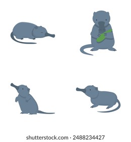 Wild desman icons set cartoon vector. Mammal of mole family. Wildlife animal