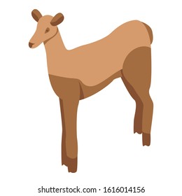 Wild doe icon. Isometric of wild doe vector icon for web design isolated on white background