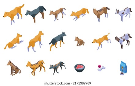 Wild dog dingo icons set isometric vector. America pup. Australia animal