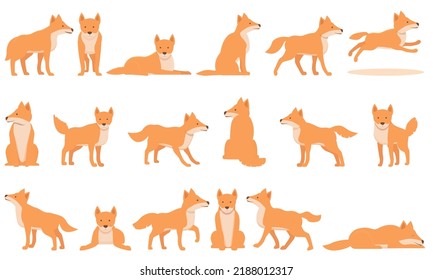 Wild dog dingo icons set cartoon vector. America pup. Breed canine