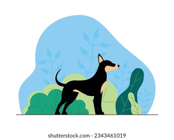 Wild dog is standing looking for prey, looking around well for food, jungle vector illustration.