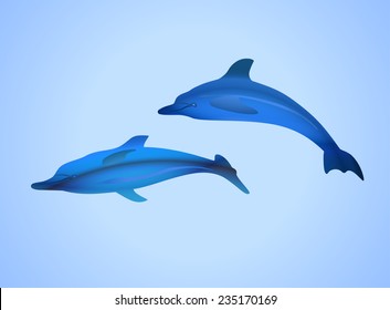 wild dolphins on blue background. Vector illustration.