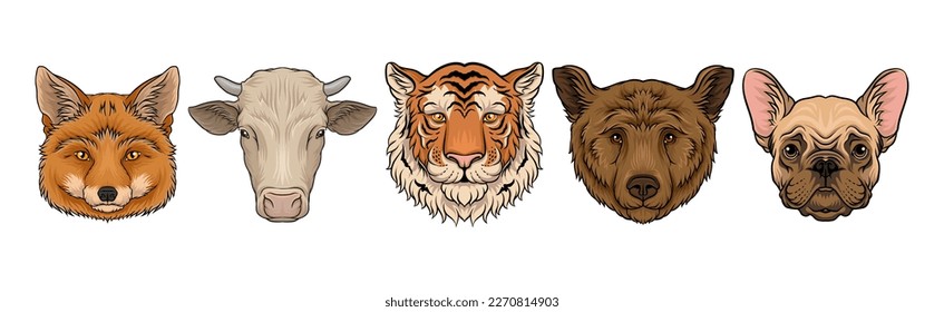 Wild and Domestic Animal Snout or Muzzle with Fur Vector Set