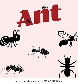 wild and domestic animals, marine mammals, reptiles, birds and fish. Collection of characters isolated on white background. vector illustration in flat style.