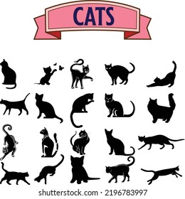 wild and domestic animals, marine mammals, reptiles, birds and fish. Collection of characters isolated on white background. vector illustration in flat style.