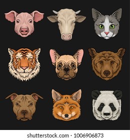 Wild and domestic animals set, heads of pig, cow, bulldog, cat, bear, pug, tiger, fox hand drawn vector Illustrations