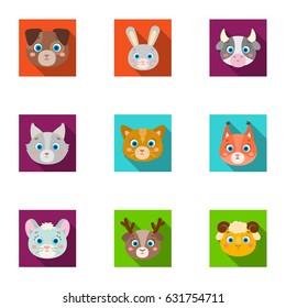 Wild and domestic animals. A set of pictures about animals. Animal muzzle icon in set collection on flat style vector symbol stock illustration.