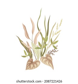 Wild dried plants and flowers. Bouquet in green, ivory and dusty pink colors for your own design vector illustration