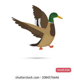 Wild duck color flat icon for web and mobile design