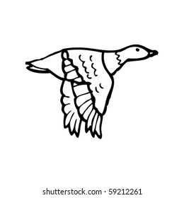 wild duck drawing