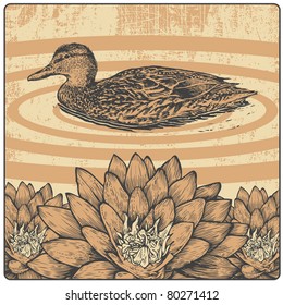 wild duck, flower and design element, engraved vintage style. vector illustration