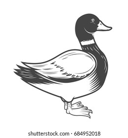 Wild duck illustration isolated on white background. Design element for logo, label, emblem, sign. Vector illustration