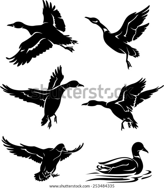 Wild Duck Silhouettes Stock Vector (Royalty Free) 253484335