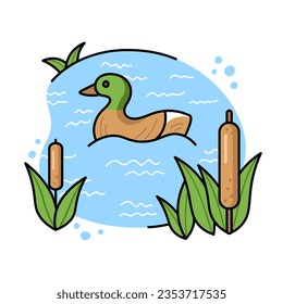 A wild duck swims in a lake near a cattail in a hand-drawn outline style.