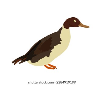 Wild duck vector illustration isolated on white background. Wildlife fowl poultry symbol. Farm bird sign. Restaurant food menu.