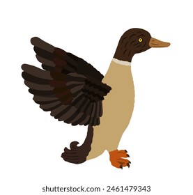 Wild duck vector illustration isolated on white background. Wildlife fowl poultry symbol. Farm bird sign. Restaurant food menu. Spread wings duck.