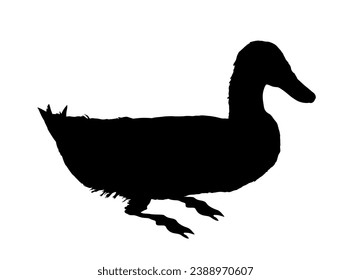 Wild duck vector silhouette illustration isolated on white background. Wildlife fowl poultry symbol. Farm bird sign. Restaurant food menu.