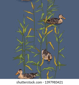   
 Wild ducks among the canes. Hand drawn colored 
seamless pattern. Vector vintage illustration.
