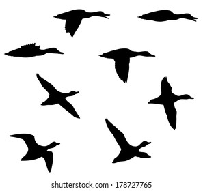 7,268 Duck silhouette outline Images, Stock Photos & Vectors | Shutterstock