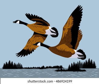 Wild ducks fly over the river