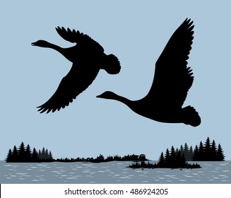 Wild ducks fly over the river