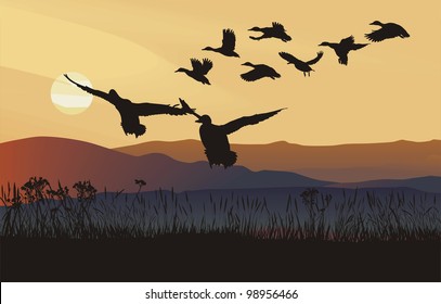 wild ducks flying landscape, at sunrise in mountains