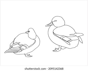 Wild ducks sketch.Image on white and colored background.Pattern.Vector.