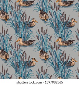 
Wild ducks in the thickets of  bulrush . Hand drawn colored seamless pattern. Vector vintage 
illustration.