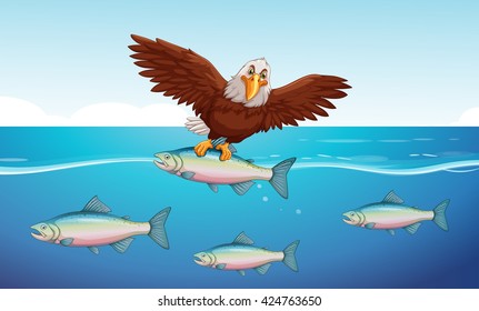 Wild eagle catching fish in the sea illustration