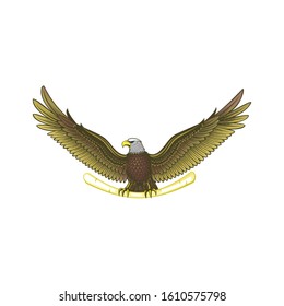 wild eagle vector logo template