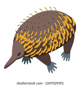 Wild echidna icon isometric vector. Nature animal. Australia spiny