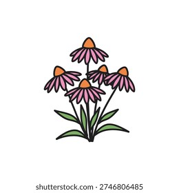 Wild Echinacea Plant Cluster Flat Botanical Illustration