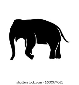 wild elephant animal vector silhouette