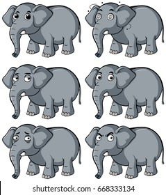 Wild elephant with different facial expression illustration