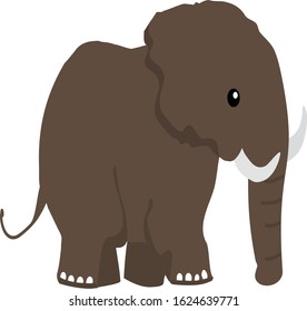 Wild Elephant Isolated Animal Vector