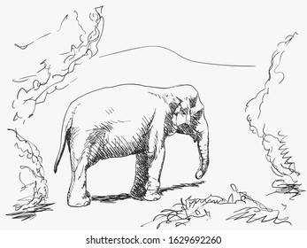 Wild elephant in nature vector sketch, Hand drawn illustration